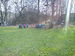 IMG_20150411_085154.jpg