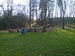 IMG_20150411_085220.jpg