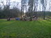 IMG_20150411_085226.jpg