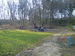 IMG_20150411_085230.jpg