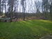 IMG_20150411_085237.jpg