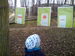 IMG_20150411_085349.jpg
