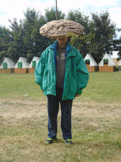 LT Medlov 2018