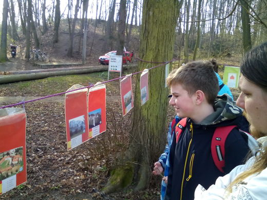 Kulturně poznávací činnost